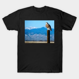 Ferruginous Hawk T-Shirt